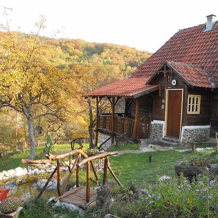 Apartment Cerova Kosa Мокра гора Екстериор снимка